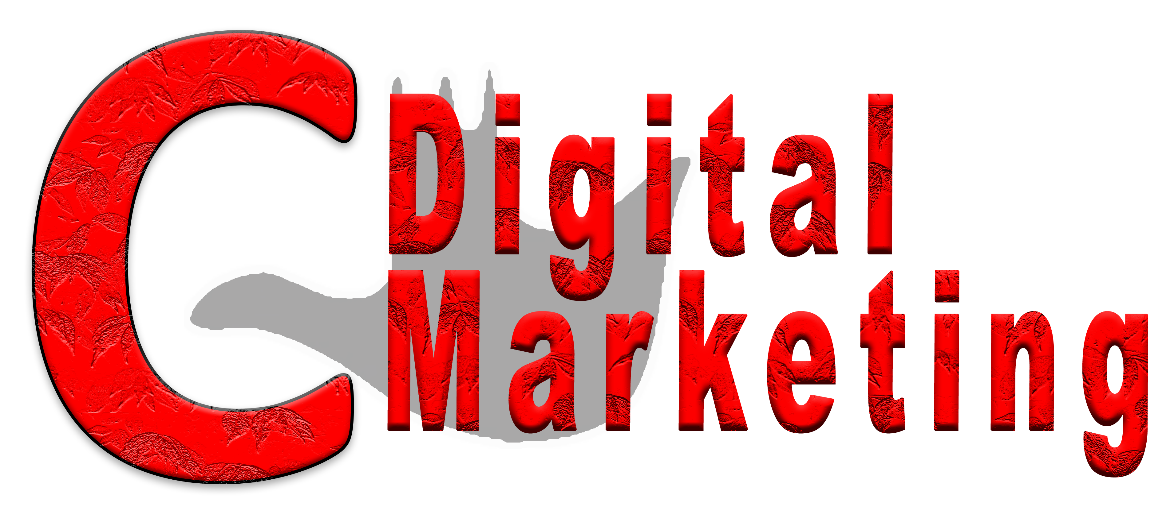 Digital Marketing in Chandigarh 